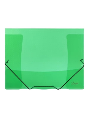 Plastový obal s gumičkou PP Karton Lines zelený