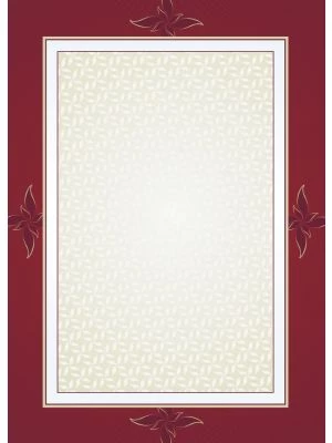 Galeria Papieru diplomy Majestic 170g, 25ks
