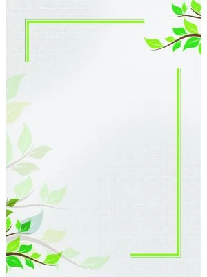 Galeria Papieru diplomy Green 170g, 25ks