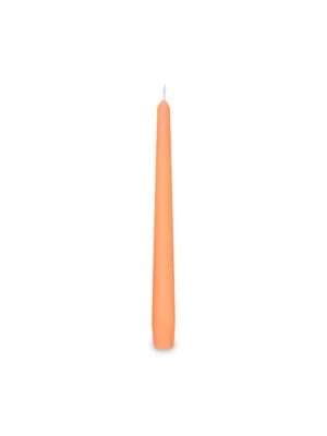 Sviečka kónická apricot Ø23 x 245 mm 10 ks