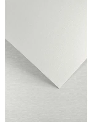 Galeria Papieru ozdobný papír Kôra bílá 230g, 20ks Wood