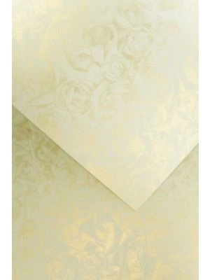 Dizajn Ruže ivory 250G, 20ks