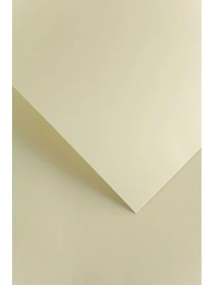 Galeria Papieru ozdobný papír Florida ivory 220g, 20ks