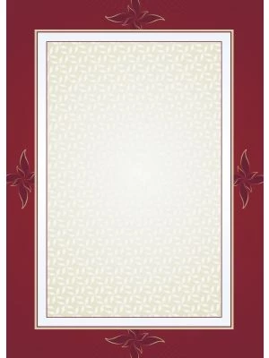 Galeria Papieru diplomy Majestic 170g, 25ks