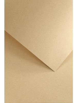 Galeria Papieru ozdobný papír Nature tmavě béžová 220g, 20ks