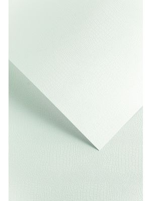 Galeria Papieru ozdobný papír Borneo bílá 220g, 20ks