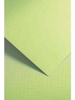 Galeria Papieru ozdobný papír Holland zelená 220g, 20ks