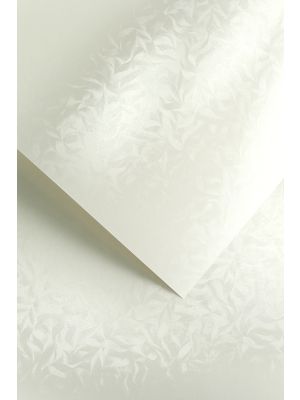 Galeria Papieru ozdobný papír Olympia bílá 220g, 20ks