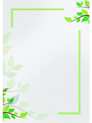 Galeria Papieru diplomy Green 170g, 25ks