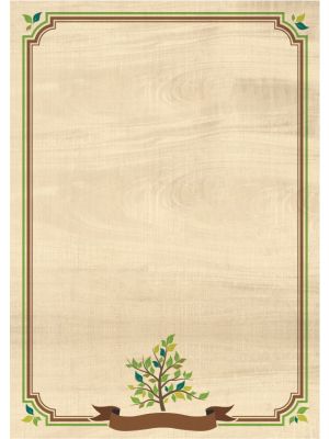 Galeria Papieru diplomy Natura 170g, 25ks