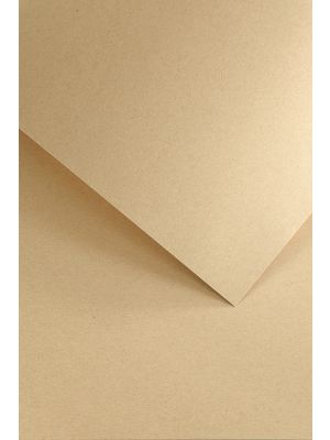 Galeria Papieru ozdobný papír Nature tmavě béžová 220g, 20ks