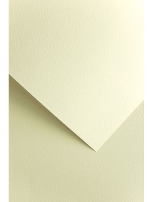 Galeria Papieru ozdobný papír Sawanna ivory 200g, 20ks