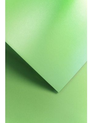Galeria Papieru ozdobný papír Millenium zelená 220g, 20ks