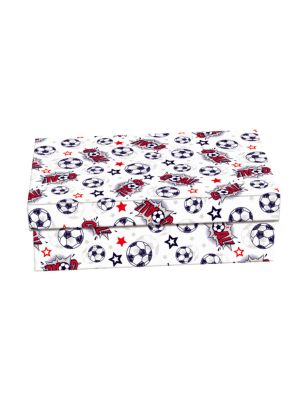 Školská krabica 33x22,5x8 cm Fotbal