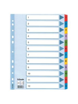 Kartónový rozraďovač Esselte Mylar 1-12