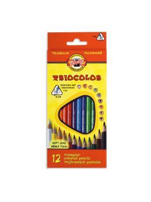 Trojhranné farebné ceruzky TRIOCOLOR 12ks