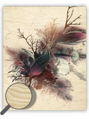 Drevený obraz Feathers