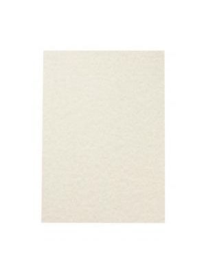 Štrukturovaný papier Pergamen šampanské 95g 100 hárkov