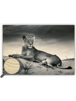 Drevený obraz Lioness