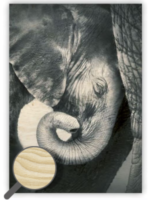 Drevený obraz Little Elephant