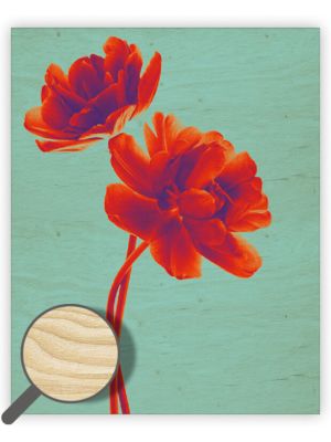 Drevený obraz Tulip