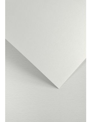 Galeria Papieru ozdobný papír Kôra bílá 230g, 20ks Wood