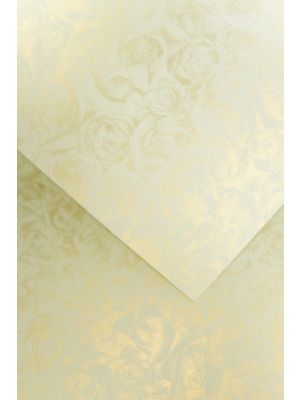 Dizajn Ruže ivory 250G, 20ks
