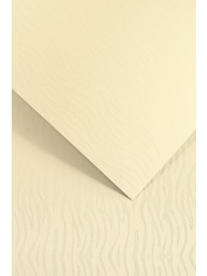 Galeria Papieru ozdobný papír Pacific ivory 200g, 20ks