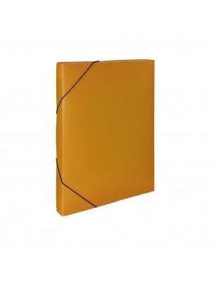 Plastový box s gumičkou Karton PP Opaline oranžový