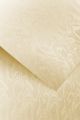 Galeria Papieru ozdobný papír Papirus ivory 220g, 20ks
